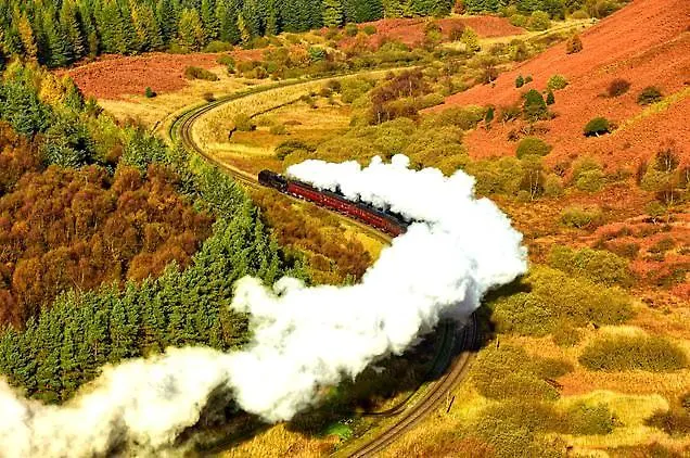 Orman Evi The Deneb *