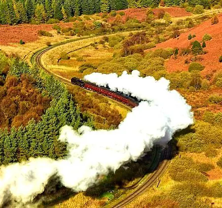 山林小屋 The Deneb *