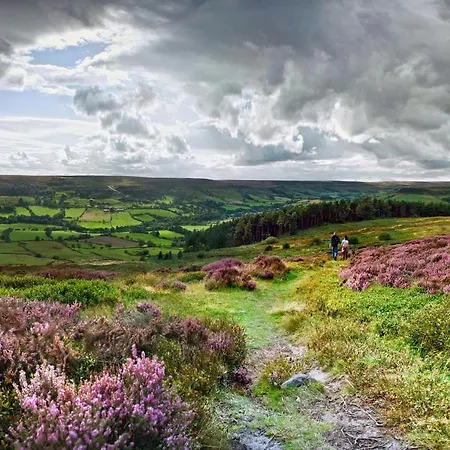 The Deneb 山林小屋