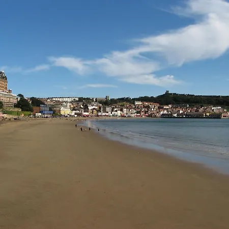 The Deneb 山林小屋